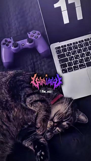 @fia_ᴛᴇᴍᴘʟᴀᴛᴇ