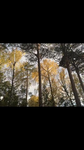 @ell_nature🏴