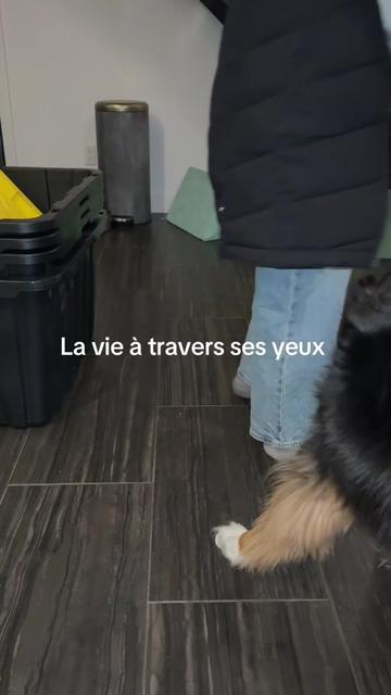 @Casandra Labb&eacute;