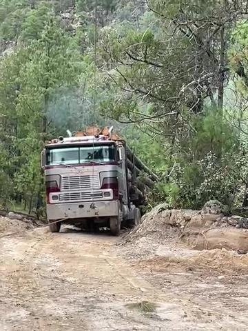 @Chihuahua Trucks