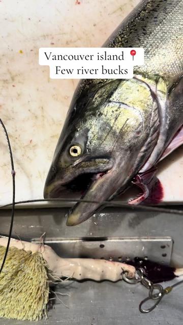 @FishingThe(250)