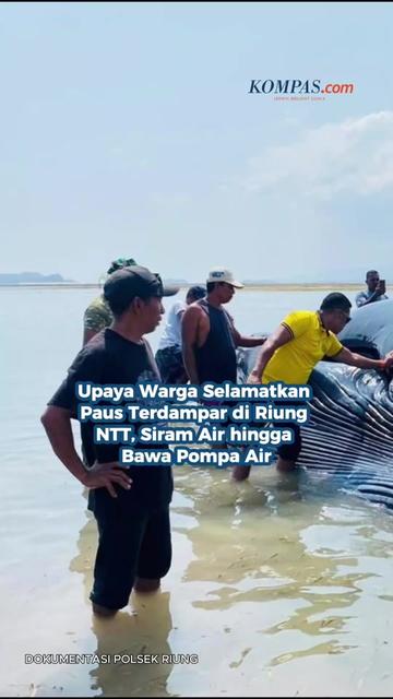 @Kompas.com