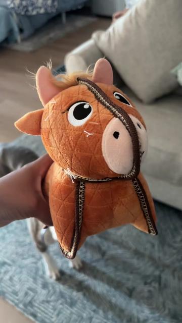 @caponethepitty