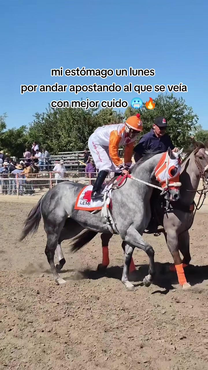 @carriles altos de jalisco🐎