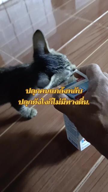 @หม้อดิน