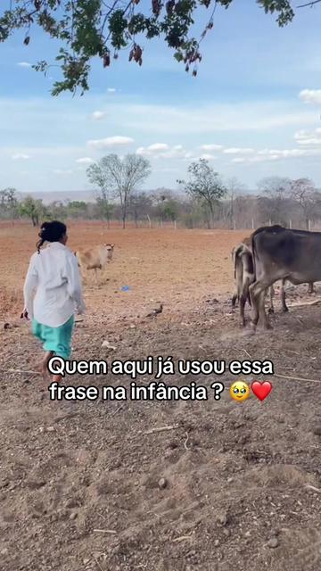 @monicadejatoba