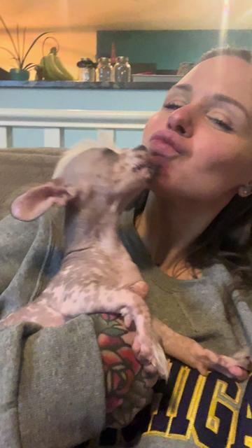 @Chinese Crested Cuties