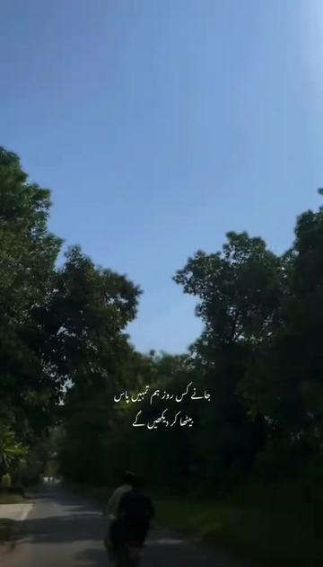 @*&bull;.&cedil;♡𝑀𝑜𝑜𝑛♡&cedil;.&bull;*