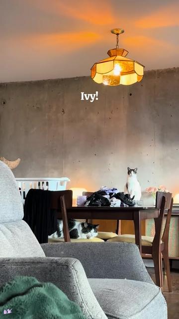 @Lil’ Ivy & Lux 🧚🌱🩵