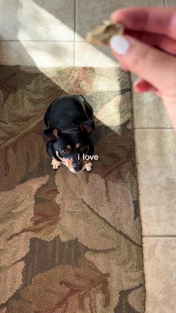 @inahtries