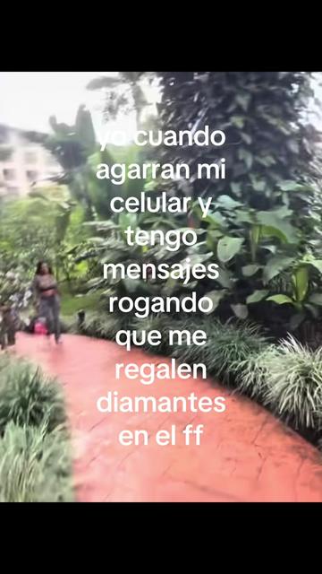 @ᥫ᭡