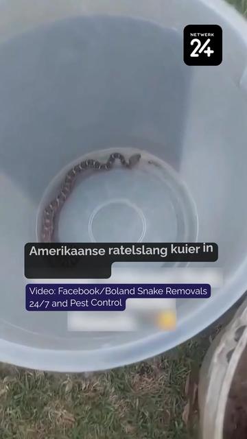 @Netwerk24