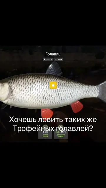 @Yashenko Mogaet