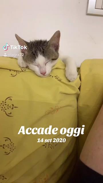 @mayafamily72