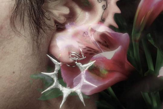 @༺ Cyber Shells ༻