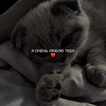 @ХХИКА