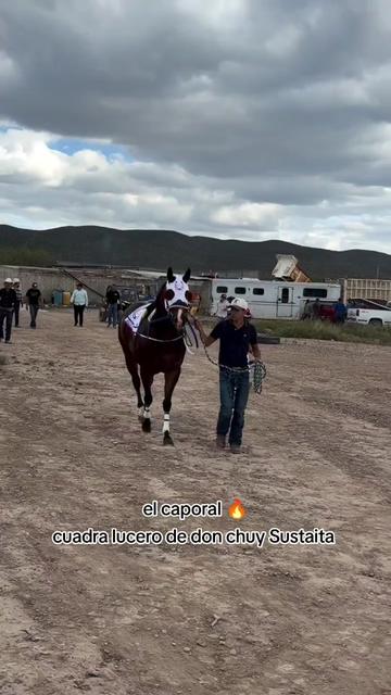 @carriles altos de jalisco🐎