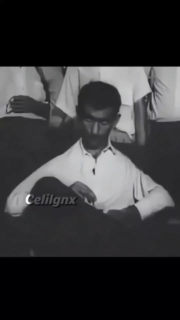 @𝘾𝙚𝙡𝙞𝙡𝙜𝙣𝙭