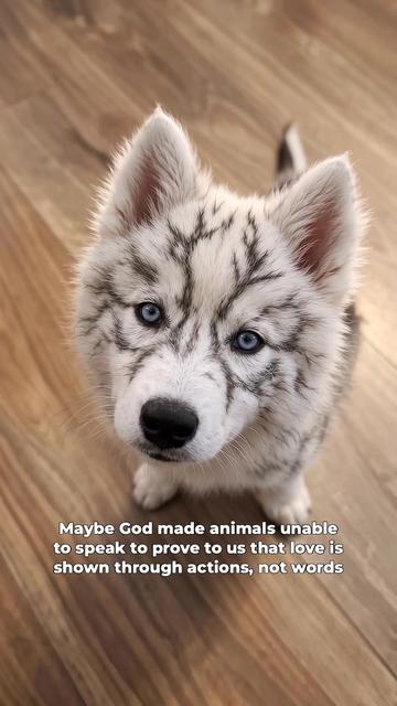 @Bolthowls
