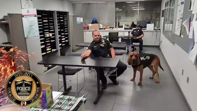 @Vested Interest in K9s, Inc.
