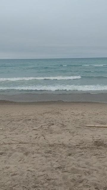@van_essav 🇯🇲🇨🇦
