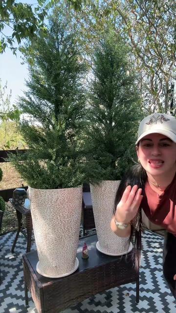 @mary