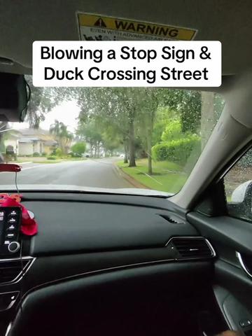 @DriveWithMike