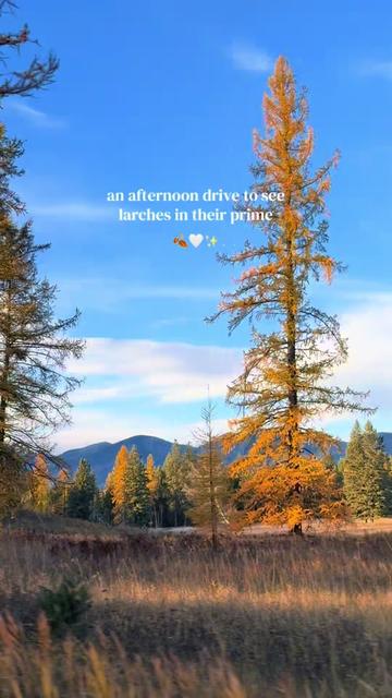 @Lucy ⛰️✨🌲