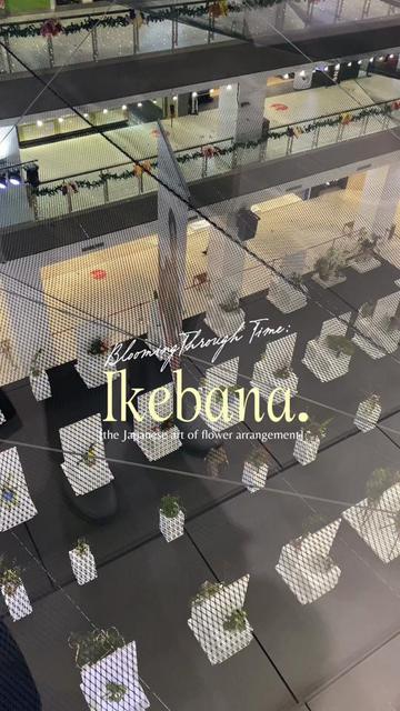@Kikira✨