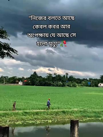 @Sanzida Nahar