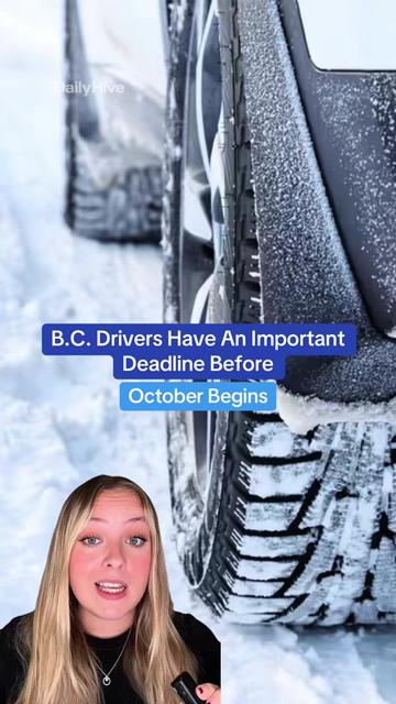 @dailyhivevancouver