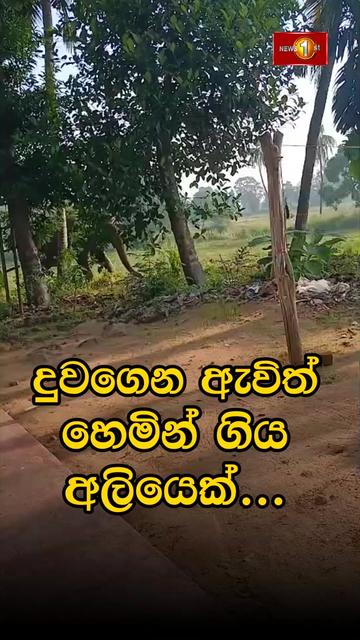 @Newsfirst Sri Lanka