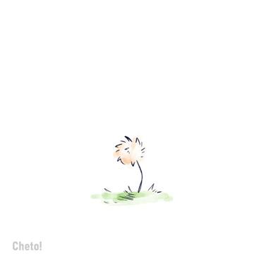 @Cheto!