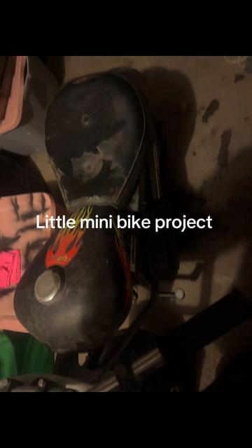 @dirtbike 300