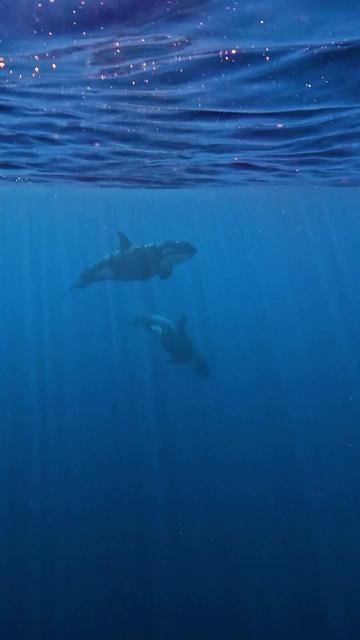 @Visit Fuvahmulah