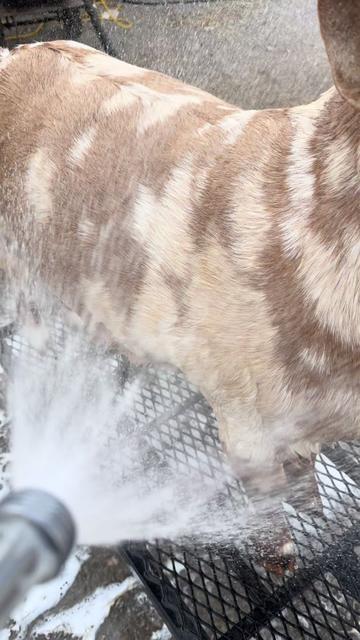 @Klein Kraal Farm🐐