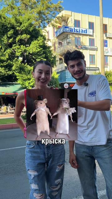 @ELVİRA🧸