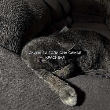 @ХХИКА
