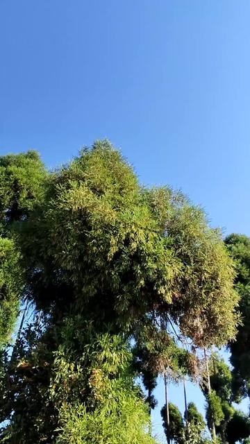 @कृति 🦋