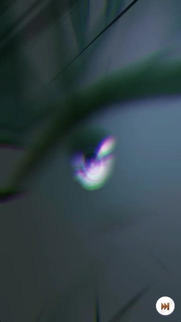 @大声けさきパパ