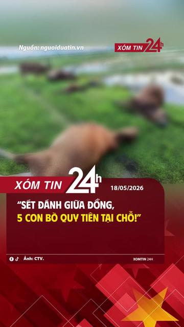 @X&oacute;m Tin 24h