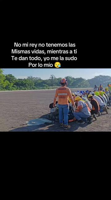 @lico