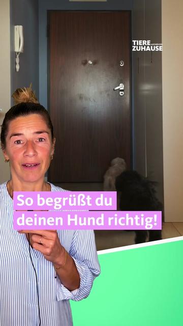 @Tiere suchen ein Zuhause