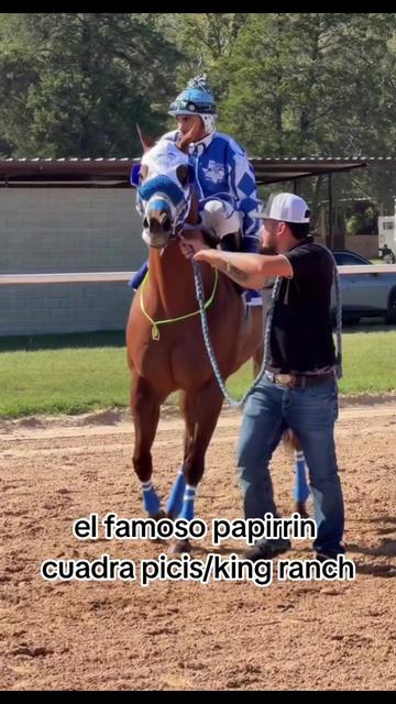 @carriles altos de jalisco🐎