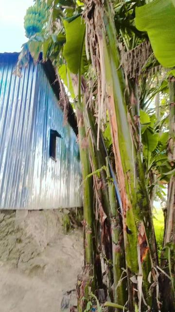 @কষ্টের জীবন আমার😭😭