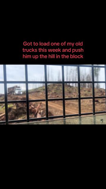 @ltsnotlogging
