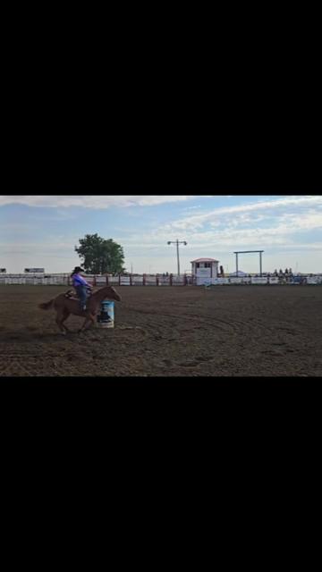 @Barrel Racing Journey