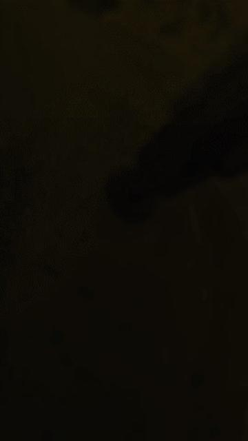 @pedroorzia_