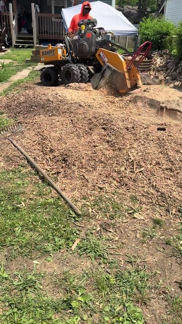 @G&O tree servicess