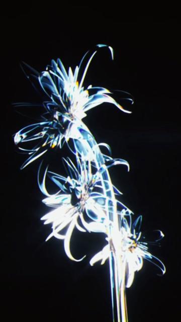 @Embodiment Celestial